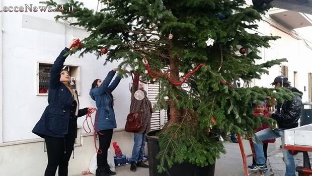 Villa Convento, il grande albero di abete donato da Monteco si sposta in piazza